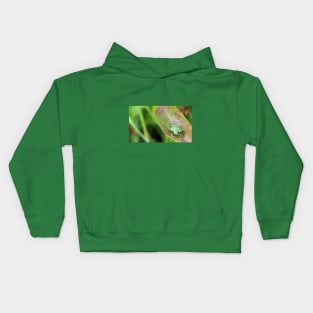 Green Shield Bug No.1 Kids Hoodie